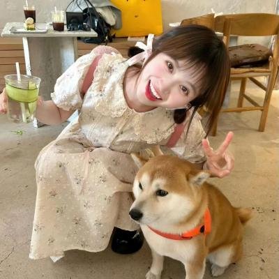 梦之歌